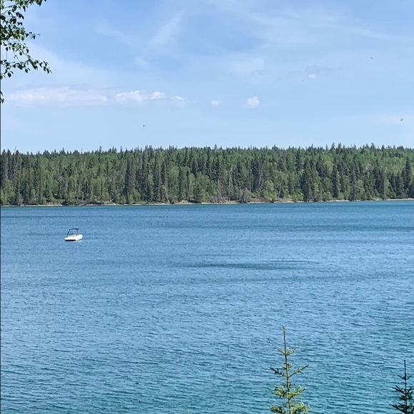 Meet your Posher, Samantha - Picture 1 of 1